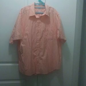 Short sleeve button down collared shirt
